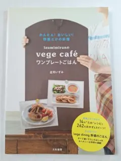 izumimirunのvege cafeワンプレートごはん