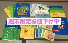 週末限定値下中World Family Disney World English