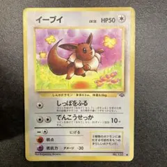 美品】旧裏 希少 イーブイ ○ 第2弾拡張パック ポケモンジャングル