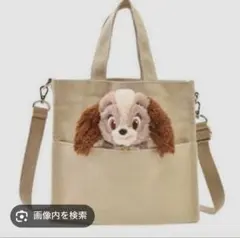 レディ　ショルダーバッグ