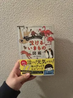 Item thumbnail for item b3a18e5a-4d9b-43ee-8f7a-6c1d9621d90e