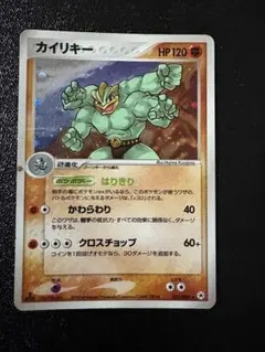 じゅんぽけ様 リクエスト 2点 まとめ商品