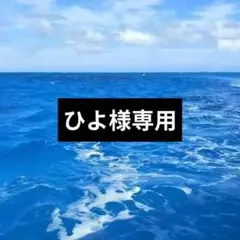 ひよ様専用