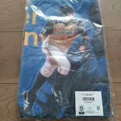 Item thumbnail for item 37f0c390-906a-49f4-bb1d-92c7dc8f1e3f