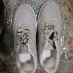 Item thumbnail for item 9978b4e4-d65d-421d-85de-53a6b3d11aaf