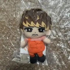 L*a様 すのチル 向井康二 ぬいぐるみ SnowMan