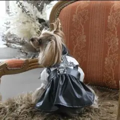 アナスイフェイクレザー　犬服　xsサイズ　ANNA SUI