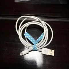 Apple Lightningケーブル