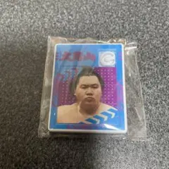 Item thumbnail for item 97cfb5f3-de4b-4f00-aeed-be617a6fbd54