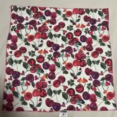 Item thumbnail for item e8ea4472-3b12-4e2f-b846-2f3c48f026c3