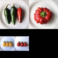 みどり様 リクエスト 3点 まとめ商品