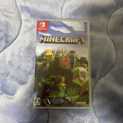Minecraft Nintendo Switch