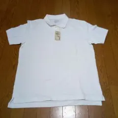 Item thumbnail for item a272468d-ebee-495b-a514-25bf5b179821