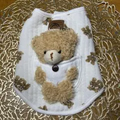 Item thumbnail for item 509e32b5-362c-429a-a1e8-c2eb3139b6ec