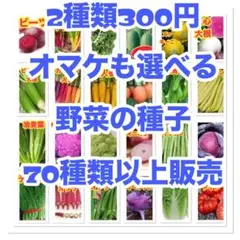 すしたろう【即購入大歓迎】様 リクエスト 2点 まとめ商品