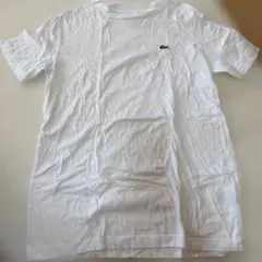 Lacoste ラコステ ホワイト Tシャツ 半袖
