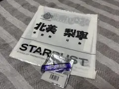 北美梨寧 りねこちゃん いぎなり東北産 初代ゼッケン ホテルキー セット