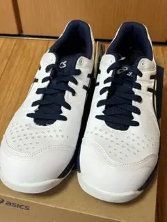 Item thumbnail for item 56db6565-9dc0-43b6-b95b-766254537652