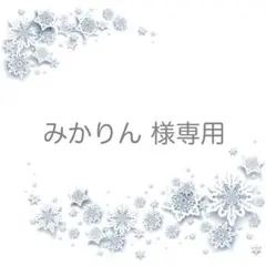 みかりん 様専用