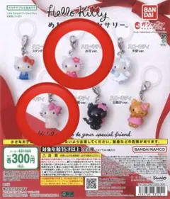 ハローキティ めじるしアクセサリー お花➕チャーミーキティセット