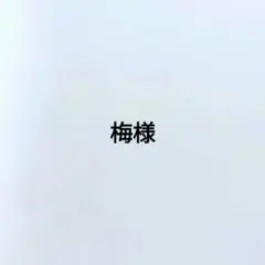 梅様たまごパンカラメルプリン、メロン味、北海道牛乳、アールグレイ紅茶