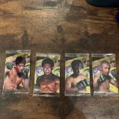 RIZINウエハース24 4枚セット