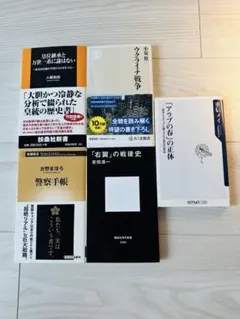 社会政治関連/新書5冊セット/八幡和郎/安田浩一 他