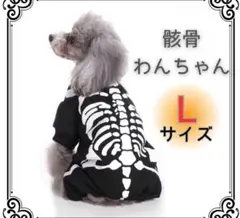 犬服 猫服 L ハロウィン ガイコツ 骸骨 ドッグウェア 防寒 コスプレ
