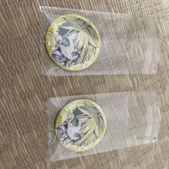 ブラフラ ぺトリコールグッズ 缶バッジ 天來らいむ様 軌道線 - メルカリ