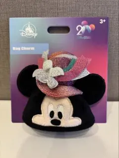 香港ディズニーランド 20周年