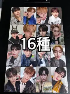 ALD1 EUPHORIA タワレコ 特典 ラキドロ トレカ 16種 コンプ