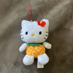 2026年最新】ハワイ キティ パイナップルの人気アイテム - メルカリ