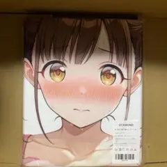 園田智代子 シークレット萌えタオル