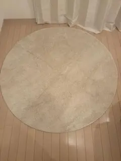 シャギーラグ