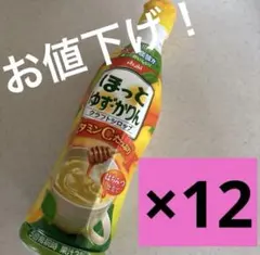 アサヒ飲料 クラフトシロップ ほっとゆず・かりん希釈用12 カルピス原液のサムネイル