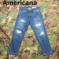 AMERICANA ヴィンテージ加工 クロップドデニム 赤耳のサムネイル
