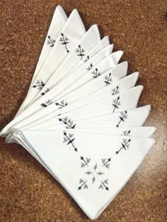 Item thumbnail for item d5554747-9efb-4738-ad04-506a461ceb49