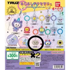 TRUZめじるしアクセサリー