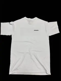 Patagonia パタゴニア Tシャツ ホワイトのサムネイル