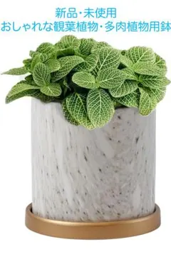 新品・未使用 観葉植物・多肉植物向けマーブル調鉢・プランター 陶器受け皿付き