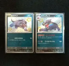 オラチフ S　マフィティフ S　色違い