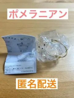 うちの子のけだまだま　ポメラニアン