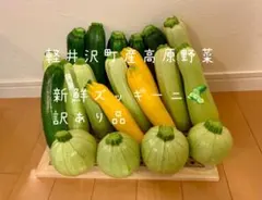 訳あり 信州 軽井沢産高原野菜 サイズMIX 4kg 新鮮ズッキーニセットのサムネイル