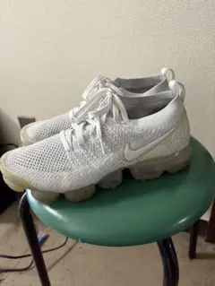 Item thumbnail for item 1a4a5ac3-30a4-41b1-aa25-ea0cece33e4f