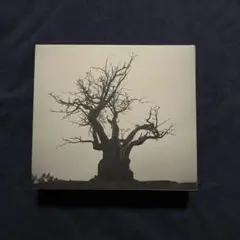 SEKAI NO OWARI 2010-2019
