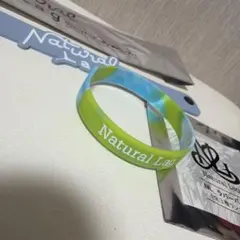 Item thumbnail for item a37f3203-f503-4df5-a134-e7852e586a4d