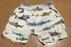 ショートパンツ　90cm オーシャンアンドグラウンド