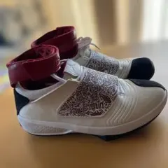 Item thumbnail for item eb598322-629b-4a6a-9174-236fe38d996b