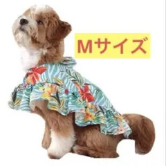 Item thumbnail for item 627395c0-f521-4548-ab3e-6f98ffcd5cb0