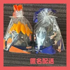 ハイキュー!! ヒナガラス カゲガラス ハート PukuPot 日向 影山 - メルカリ